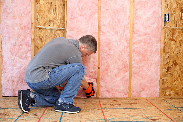 Best Types of Insulation in Shougal, WA