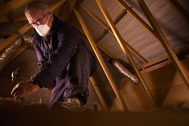 Best Insulation Installation Services in Shougal, WA